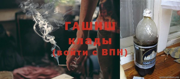 ECSTASY Алзамай