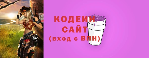 ECSTASY Алзамай