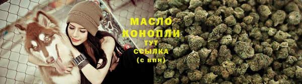 дмт Алексин