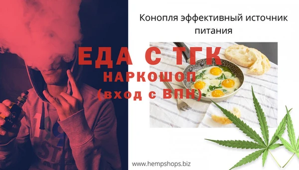 ECSTASY Алзамай