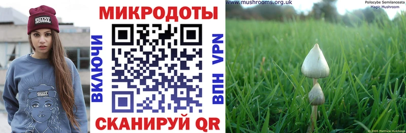 Галлюциногенные грибы ЛСД  Отрадная 
